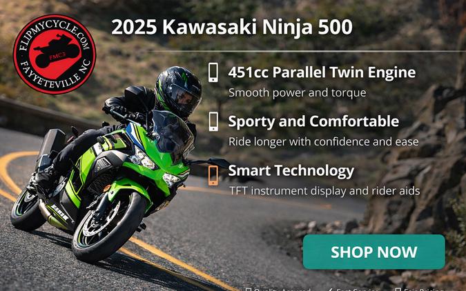 2025 KAWASAKI EX500 - FA71729