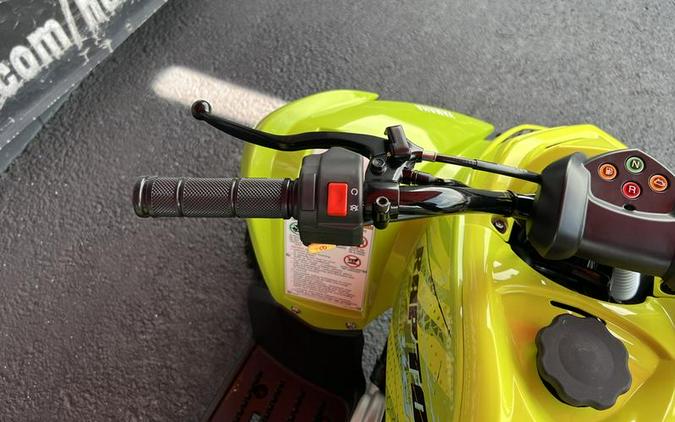 2026 Yamaha Raptor 110