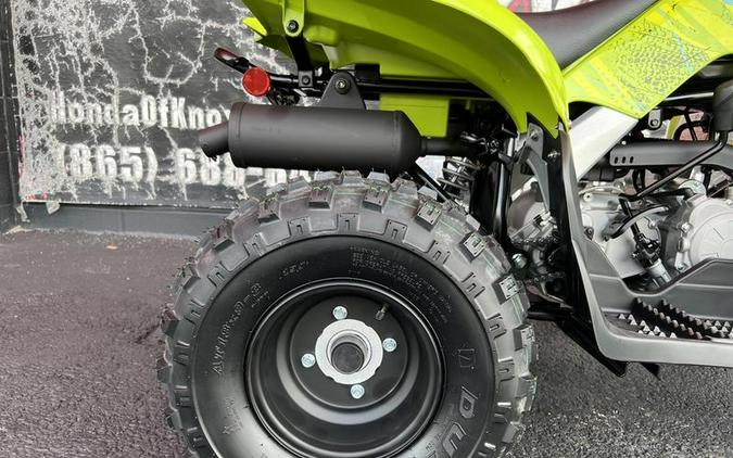 2026 Yamaha Raptor 110