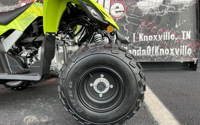 2026 Yamaha Raptor 110