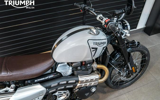 2024 Triumph Scrambler 1200 X Ash Grey