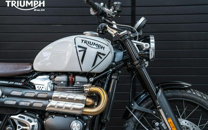 2024 Triumph Scrambler 1200 X Ash Grey