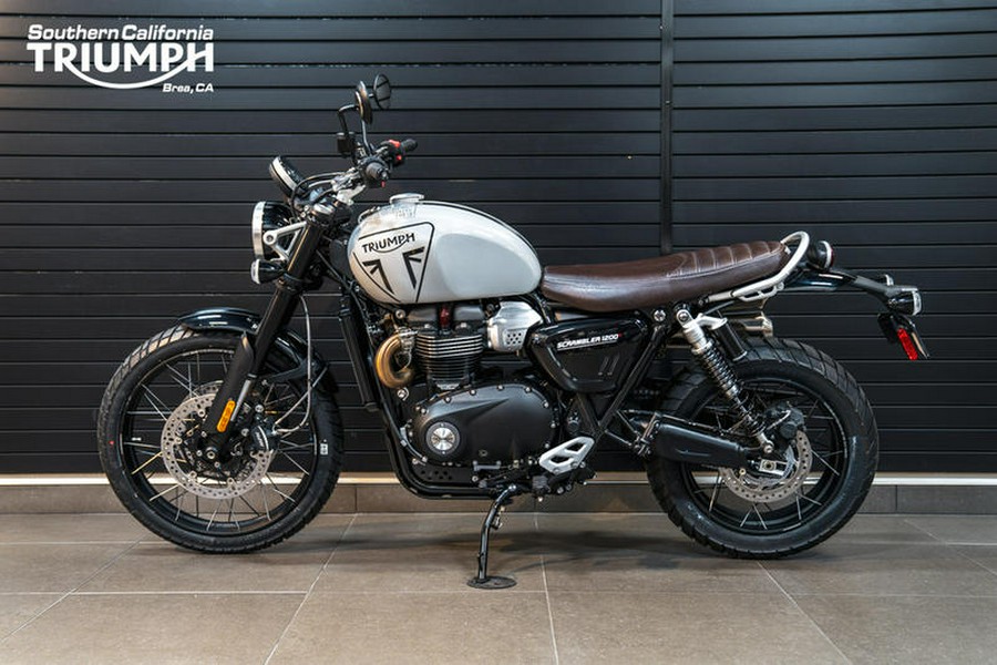 2024 Triumph Scrambler 1200 X Ash Grey