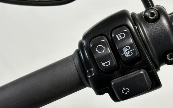 2021 Harley-Davidson® Iron 1200™ Vivid Black