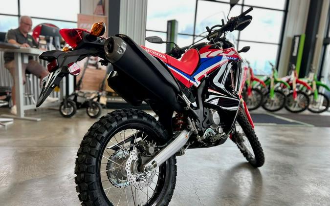 2024 Honda® CRF300L Rally