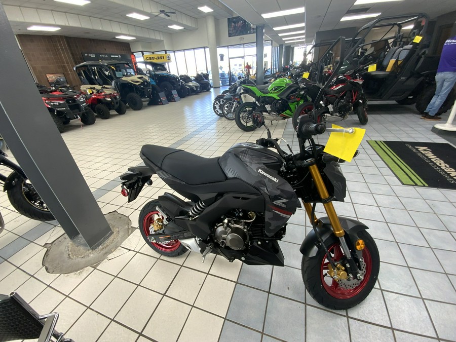 2024 Kawasaki Z125 PRO Base