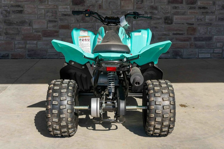 2024 Yamaha Raptor 110