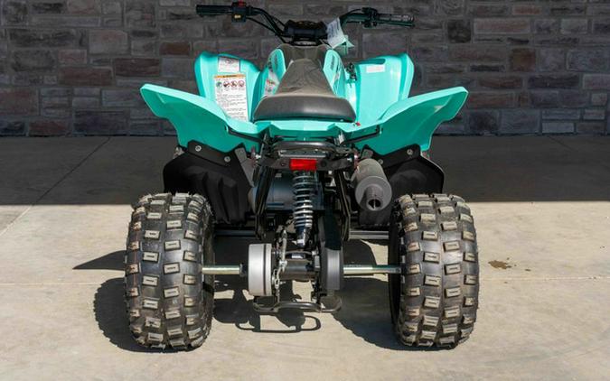 2024 Yamaha Raptor 110