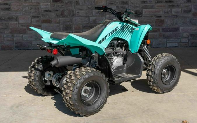 2024 Yamaha Raptor 110