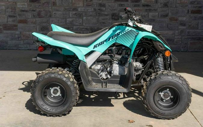 2024 Yamaha Raptor 110