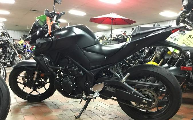2025 Yamaha YZF-R3