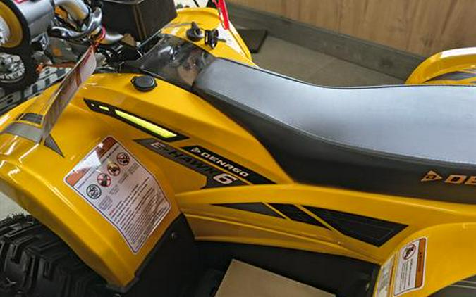 2026 Denago Powersports E-Hawk 6