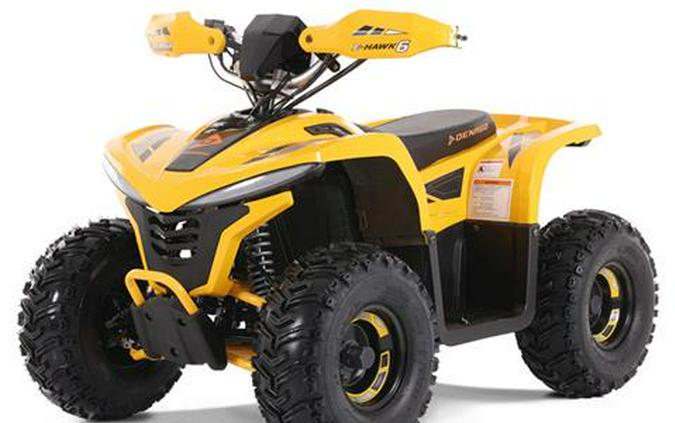 2026 Denago Powersports E-Hawk 6