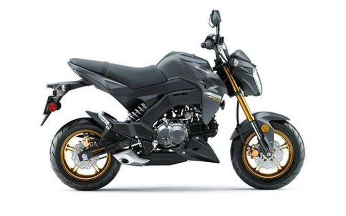 2024 KAWASAKI Z125 PRO