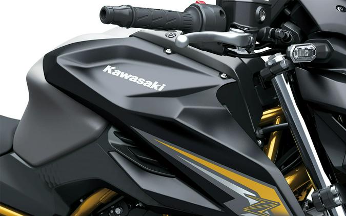2027 Kawasaki Z650 S ABS