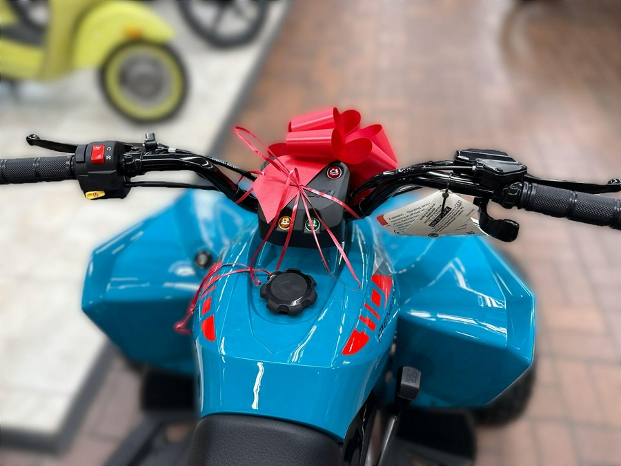 2026 Can-Am RENEGADE 110 EFI