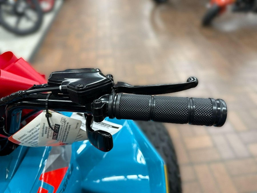 2026 Can-Am RENEGADE 110 EFI