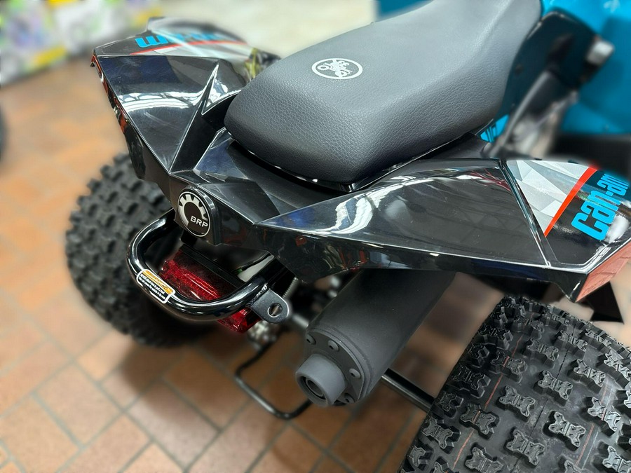 2026 Can-Am RENEGADE 110 EFI