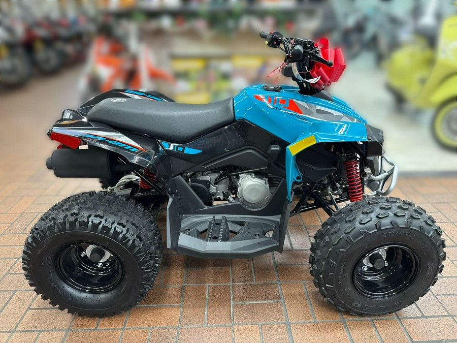 2026 Can-Am RENEGADE 110 EFI