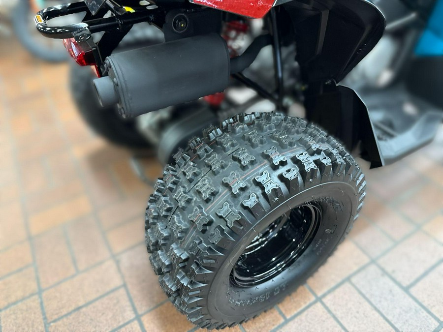 2026 Can-Am RENEGADE 110 EFI