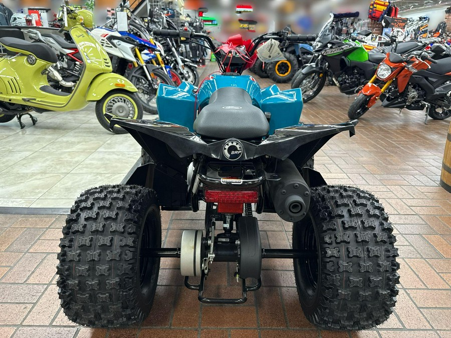 2026 Can-Am RENEGADE 110 EFI