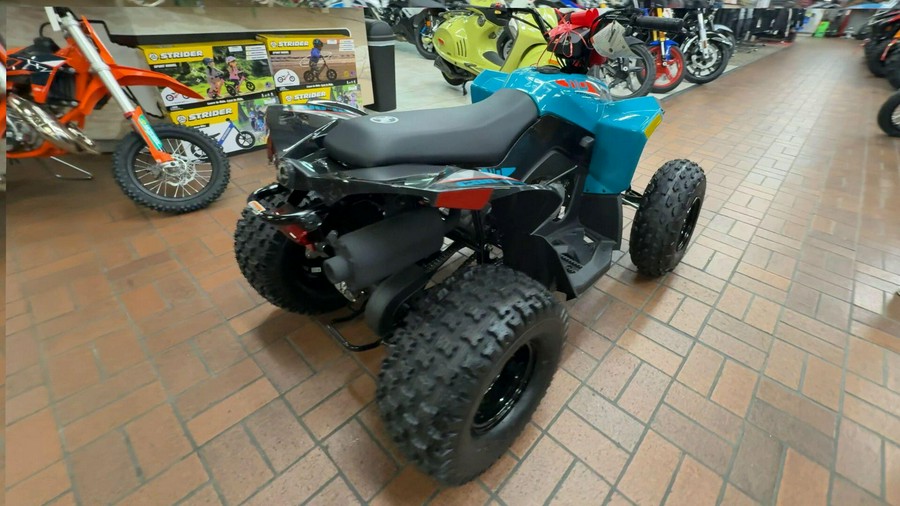 2026 Can-Am RENEGADE 110 EFI