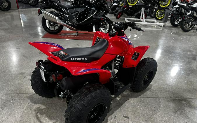 2024 HONDA TRX90X