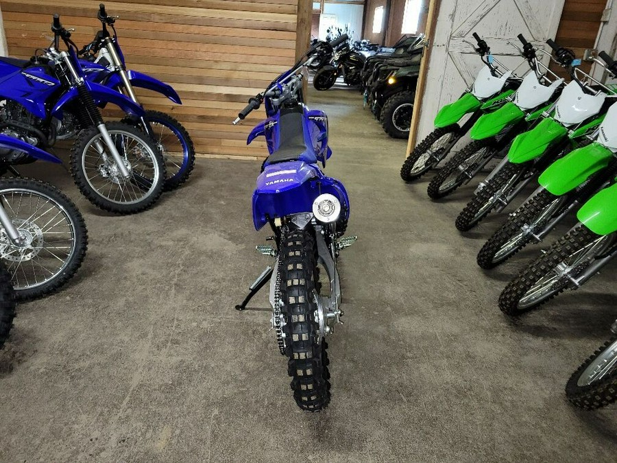 2023 Yamaha TT-R 230