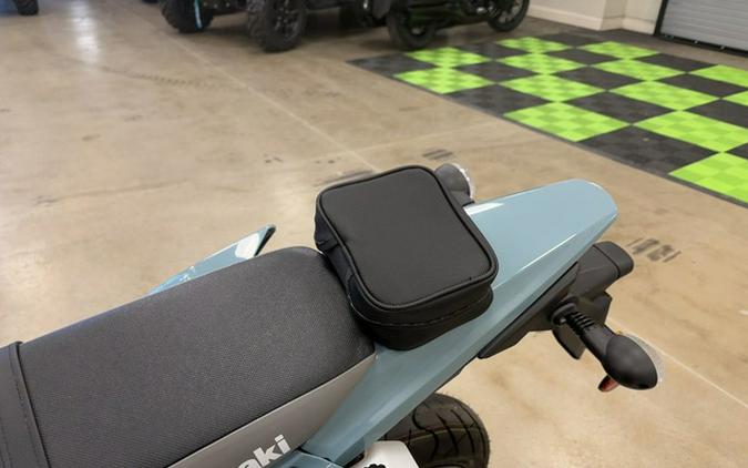 2024 Kawasaki KLX 300SM