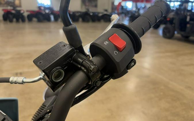 2024 Kawasaki KLX 300SM