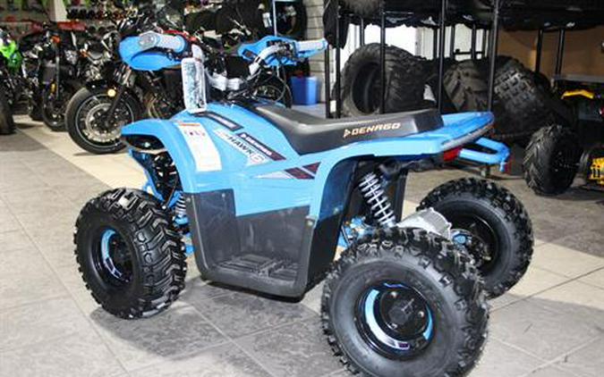 2024 Denago Powersports E-Hawk 6