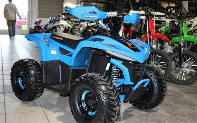 2024 Denago Powersports E-Hawk 6