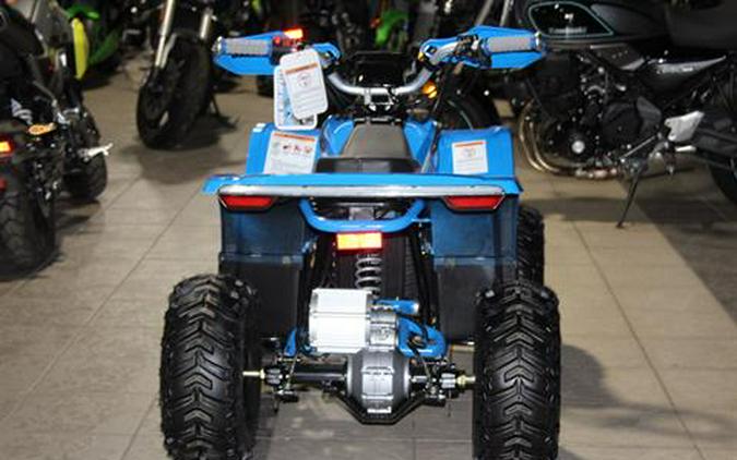 2024 Denago Powersports E-Hawk 6