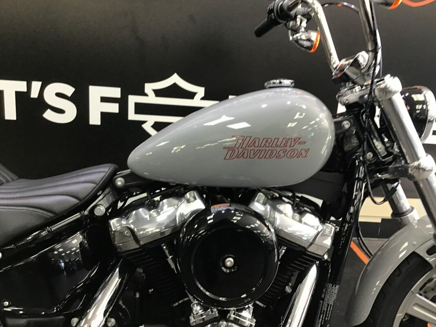 2024 Harley-Davidson® Softail® Standard Billiard Gray