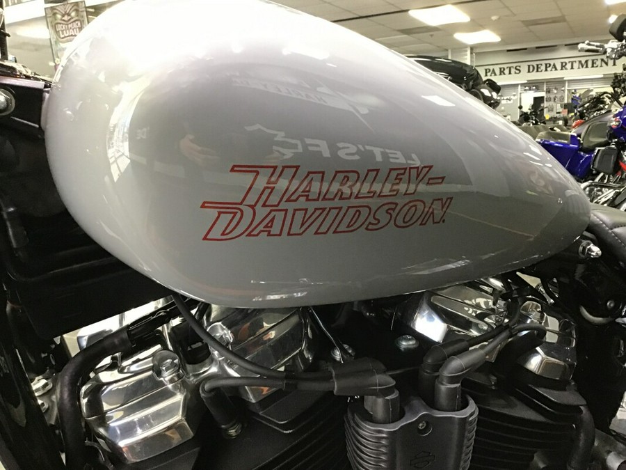 2024 Harley-Davidson® Softail® Standard Billiard Gray