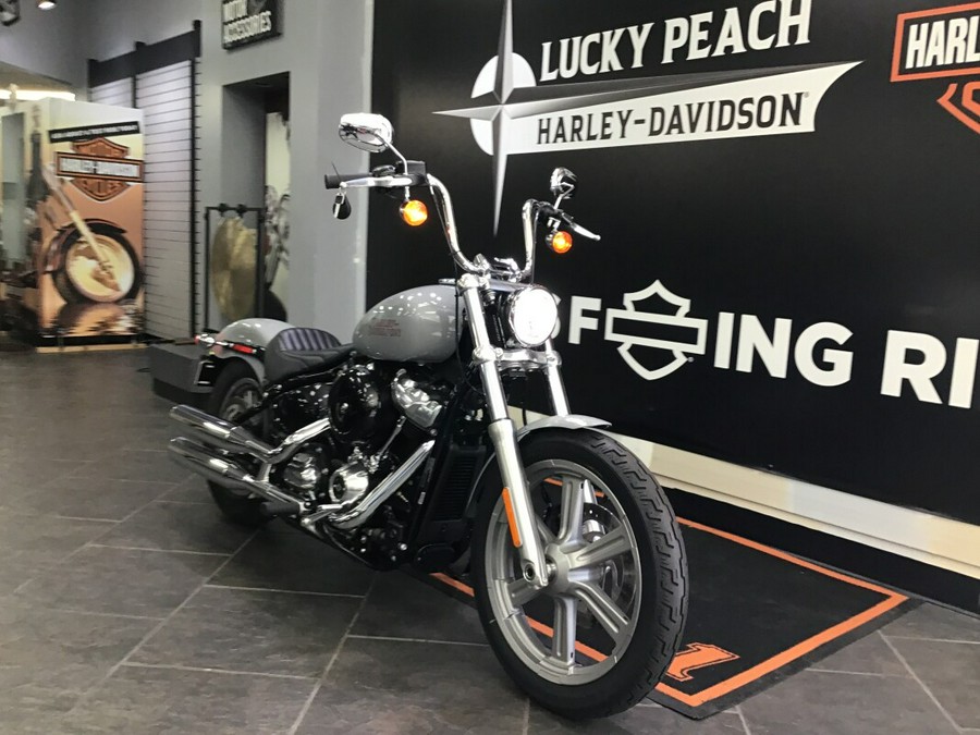 2024 Harley-Davidson® Softail® Standard Billiard Gray