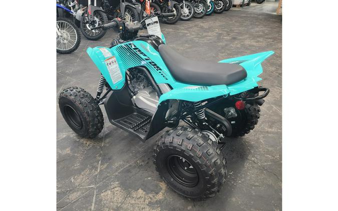 2024 Yamaha Raptor 110