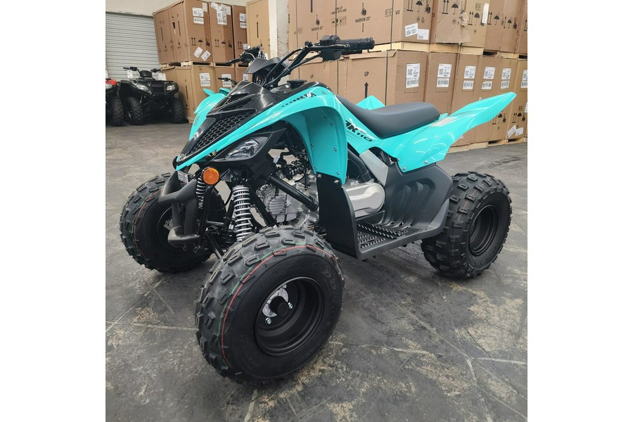 2024 Yamaha Raptor 110