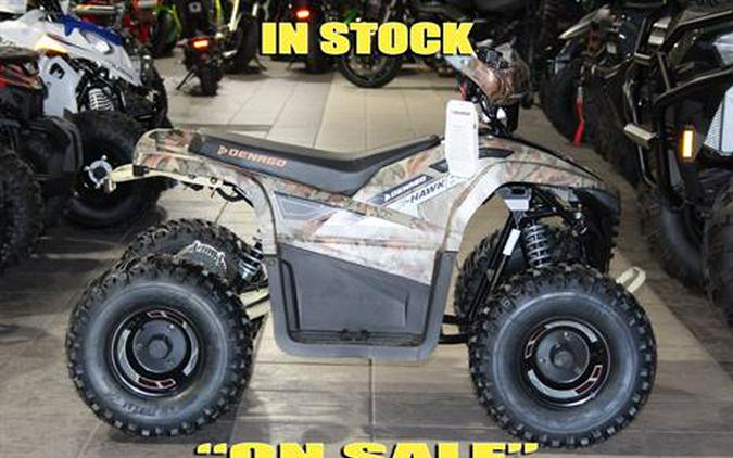 2024 Denago Powersports E-Hawk 6