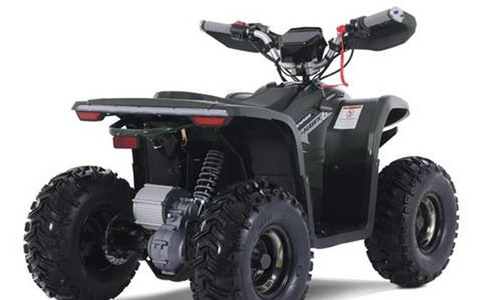 2024 Denago Powersports E-Hawk 6