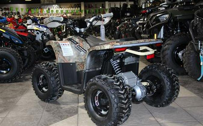 2024 Denago Powersports E-Hawk 6