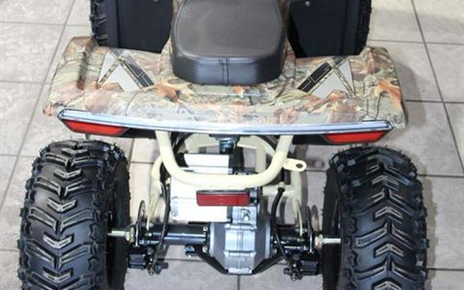 2024 Denago Powersports E-Hawk 6