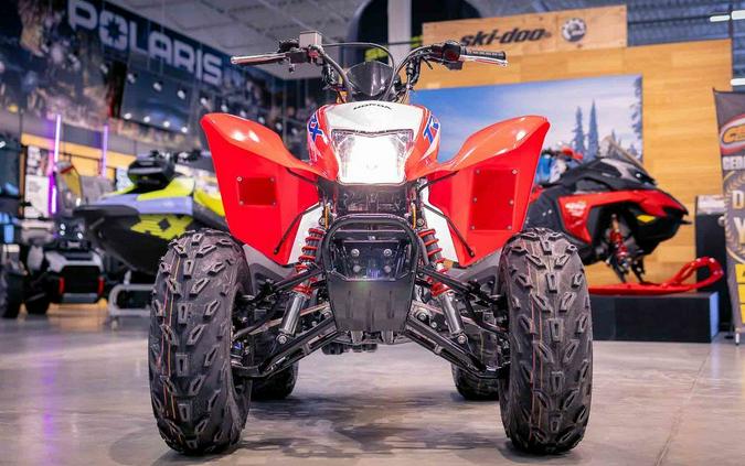 2026 Honda® TRX250X