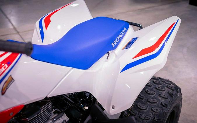 2026 Honda® TRX250X