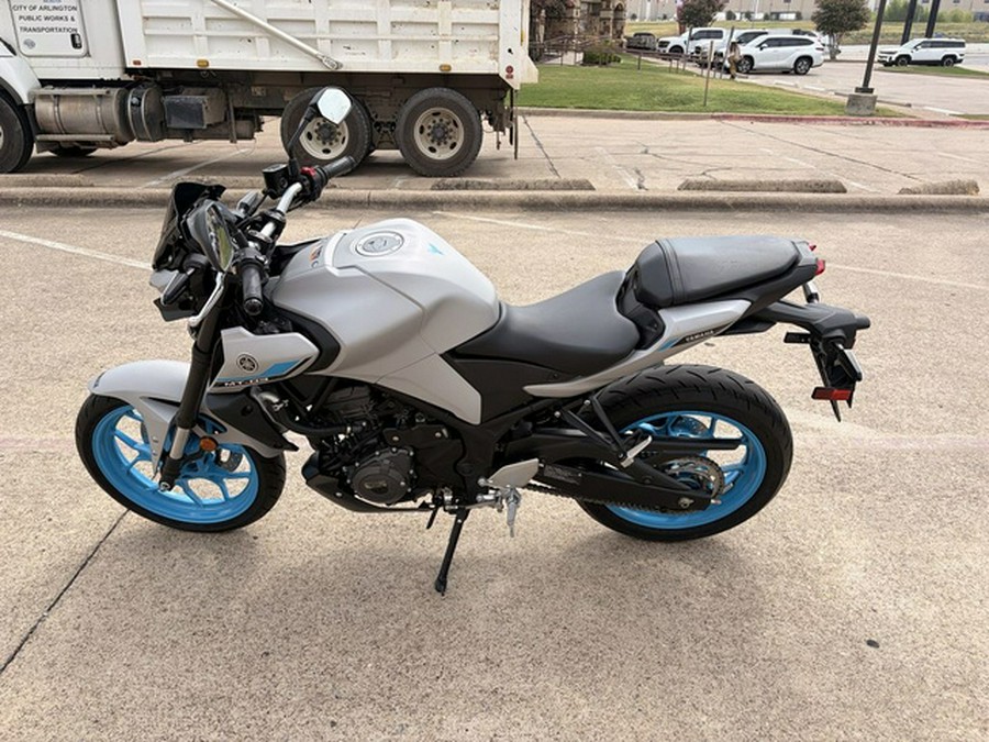 2025 Yamaha MT 03