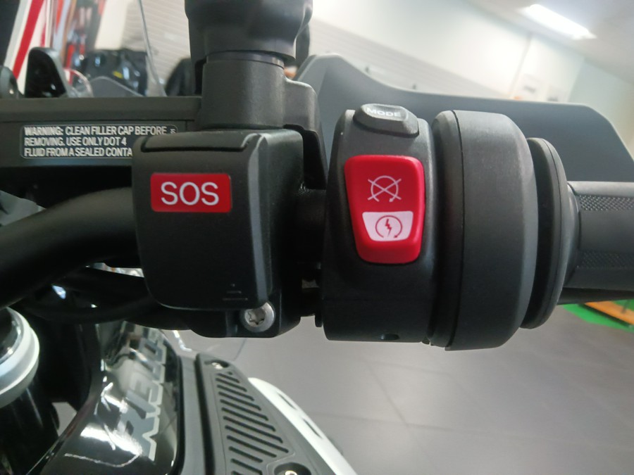 2025 BMW R 1300 GS Adventure