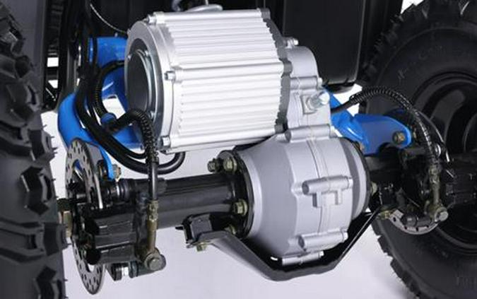 2024 Denago Powersports E-Hawk 6