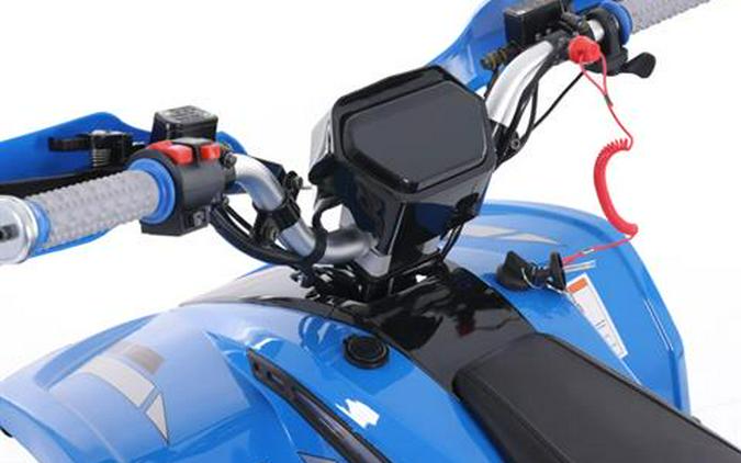 2024 Denago Powersports E-Hawk 6