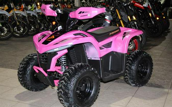 2024 Denago Powersports E-Hawk 6