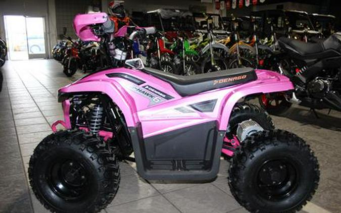 2024 Denago Powersports E-Hawk 6